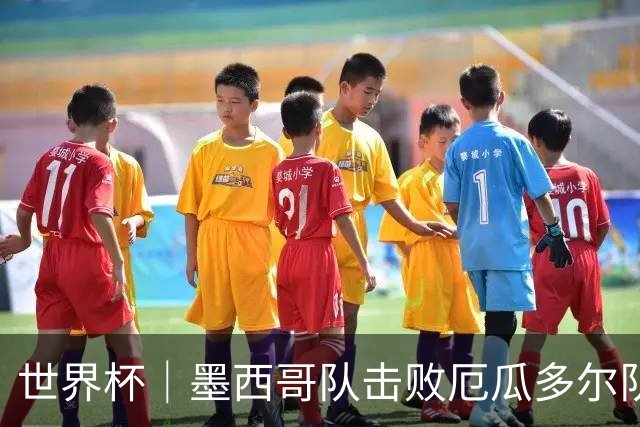 世界杯｜墨西哥队击败厄瓜多尔队晋级16强