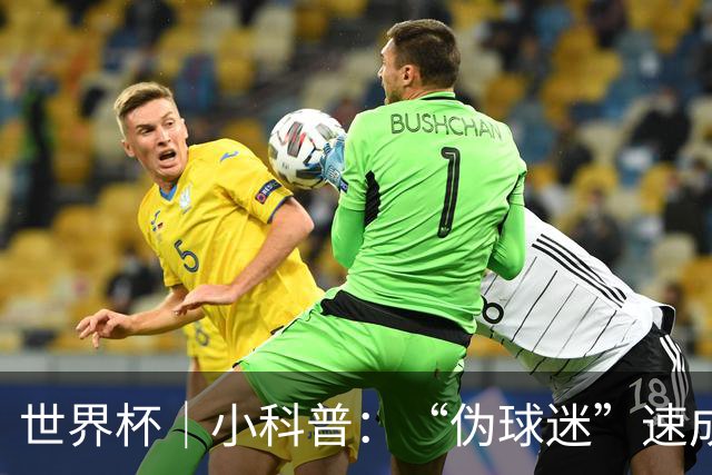 世界杯｜小科普：“伪球迷”速成手册